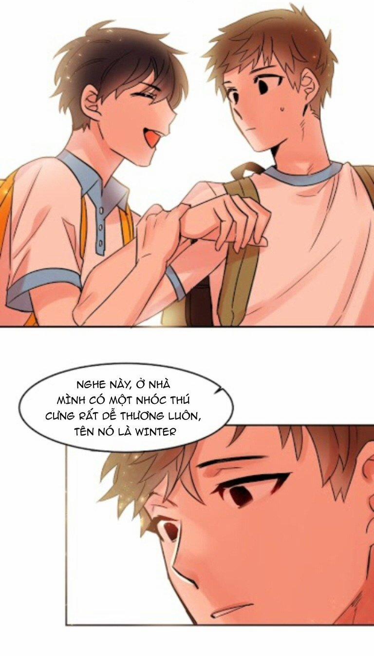 Chàng Mèo Trong Hộp Carton 16 trang 26