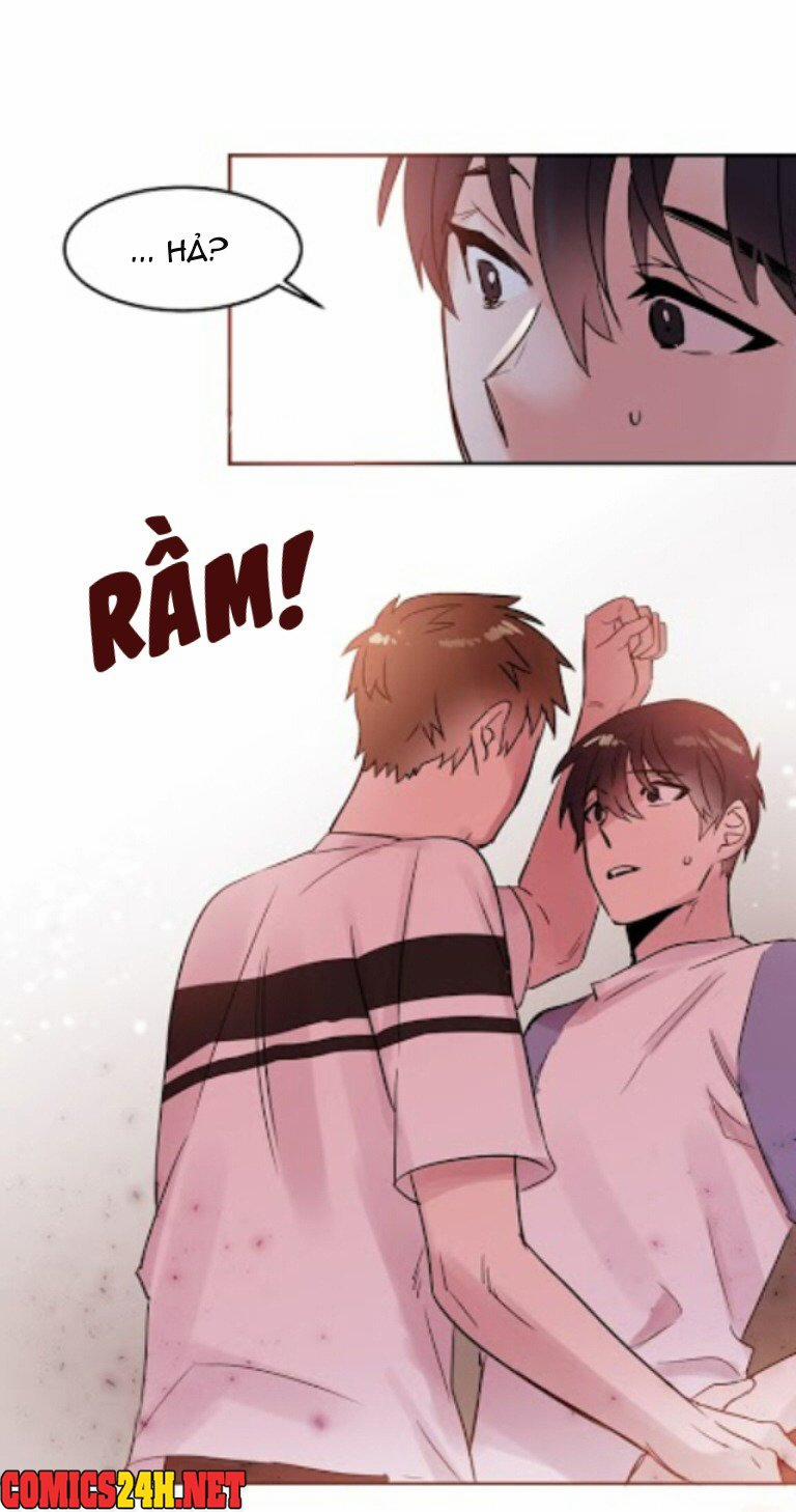 Chàng Mèo Trong Hộp Carton 16 trang 43