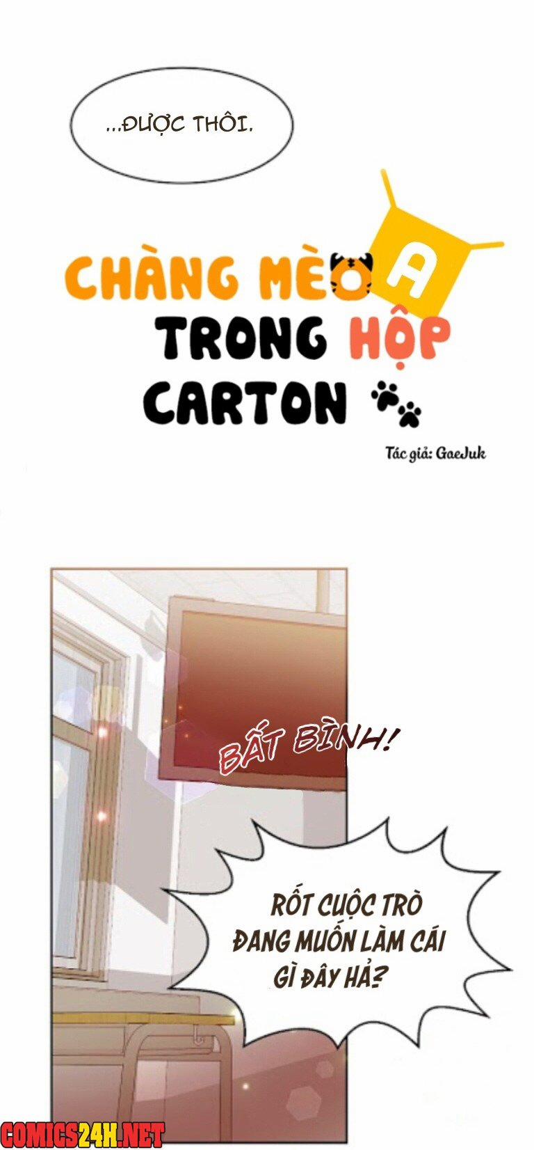 Chàng Mèo Trong Hộp Carton 16 trang 5