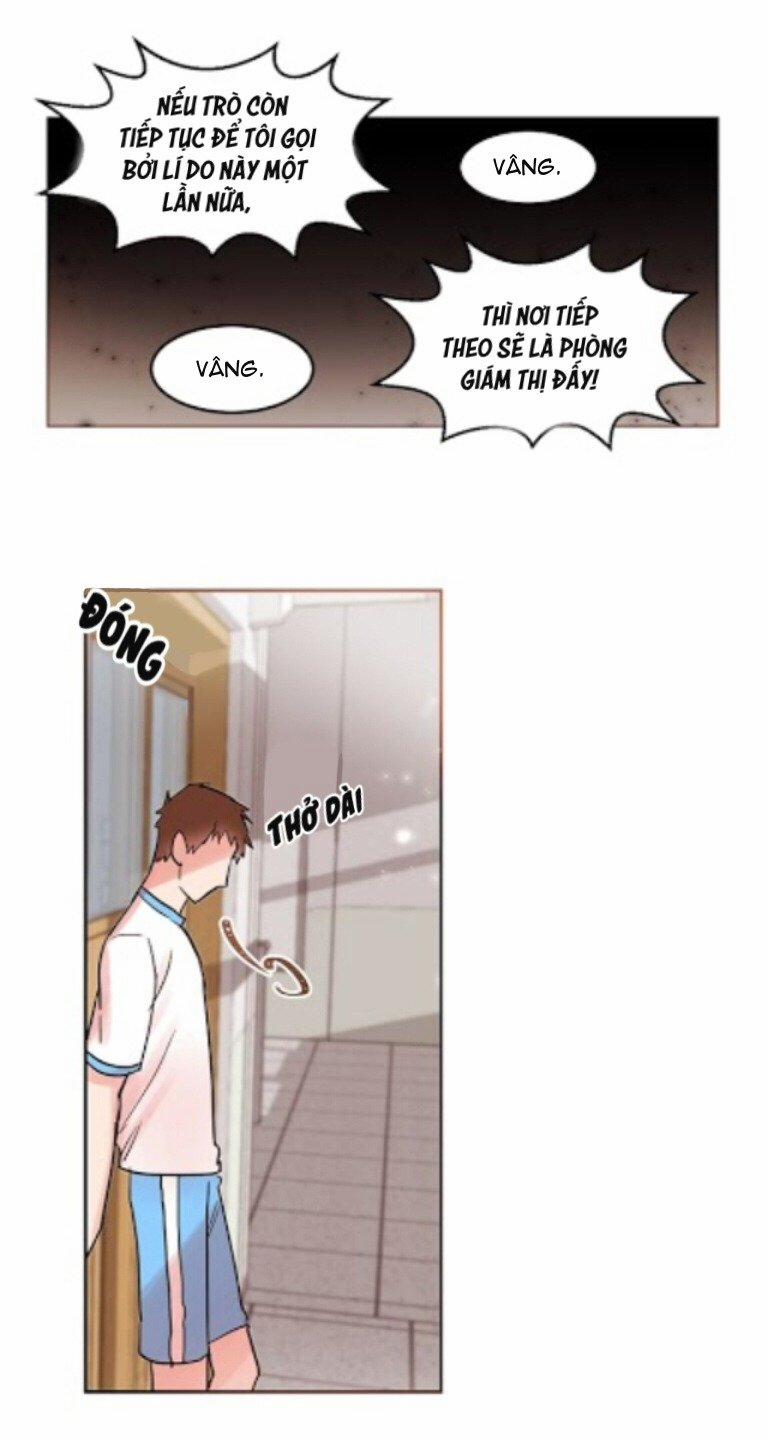 Chàng Mèo Trong Hộp Carton 16 trang 9