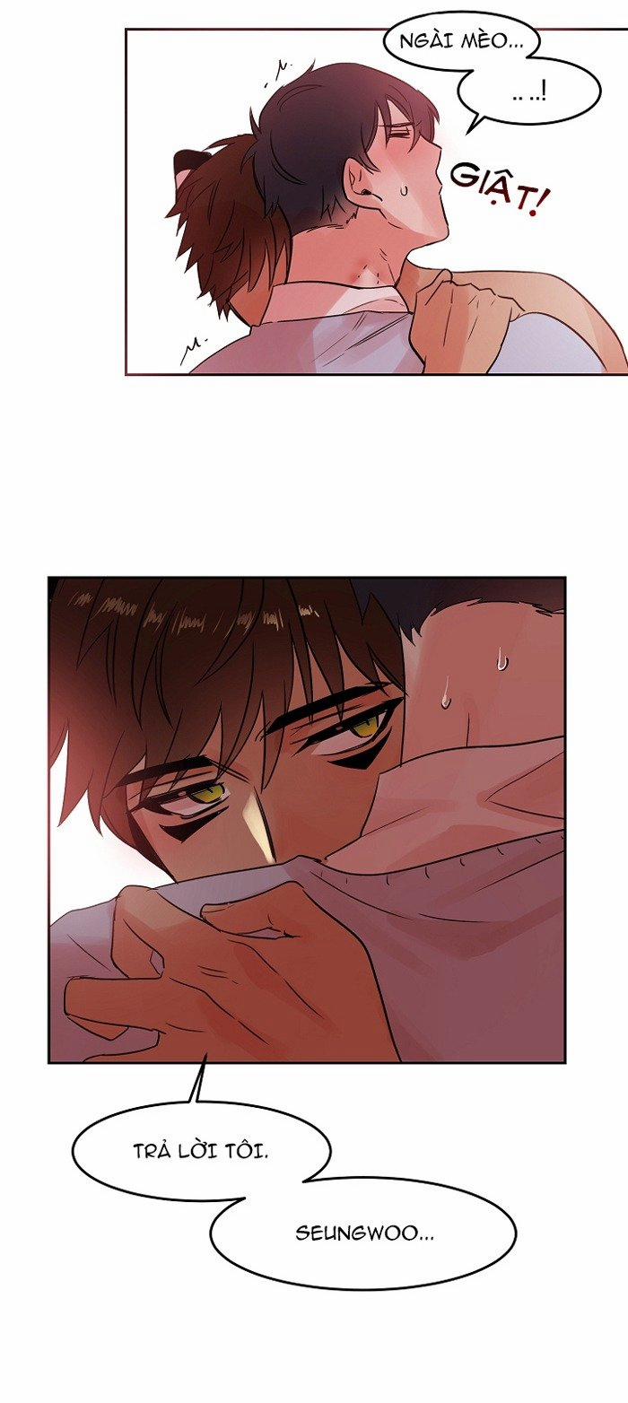 Chàng Mèo Trong Hộp Carton 18 trang 14