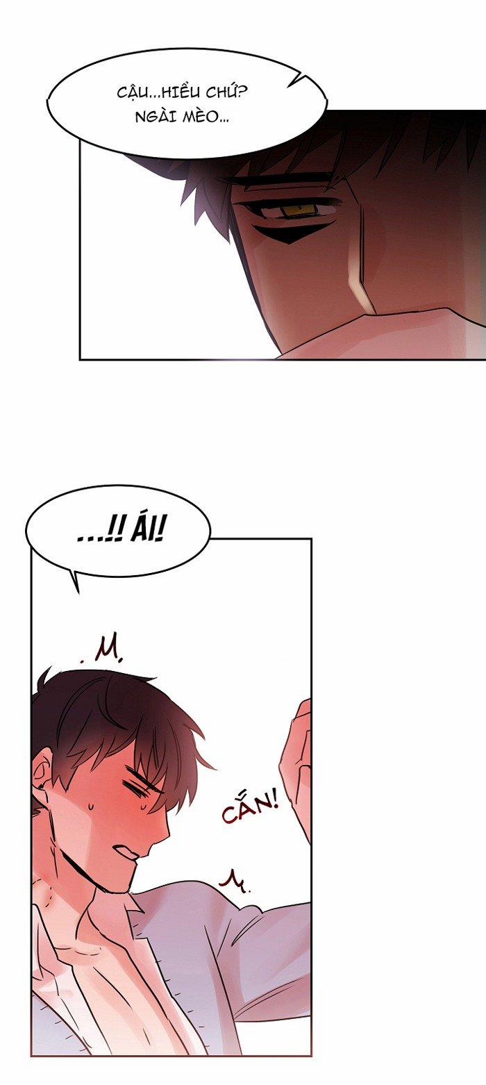Chàng Mèo Trong Hộp Carton 18 trang 19