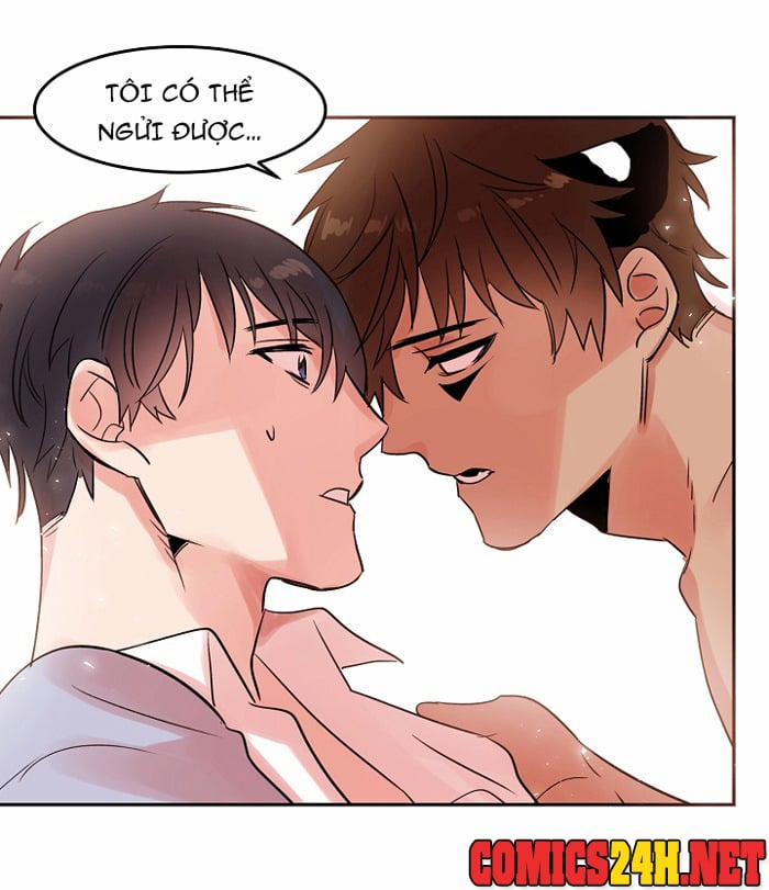 Chàng Mèo Trong Hộp Carton 18 trang 3