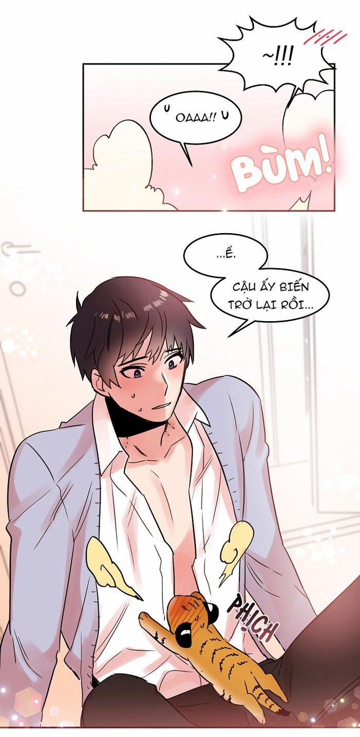 Chàng Mèo Trong Hộp Carton 18 trang 41