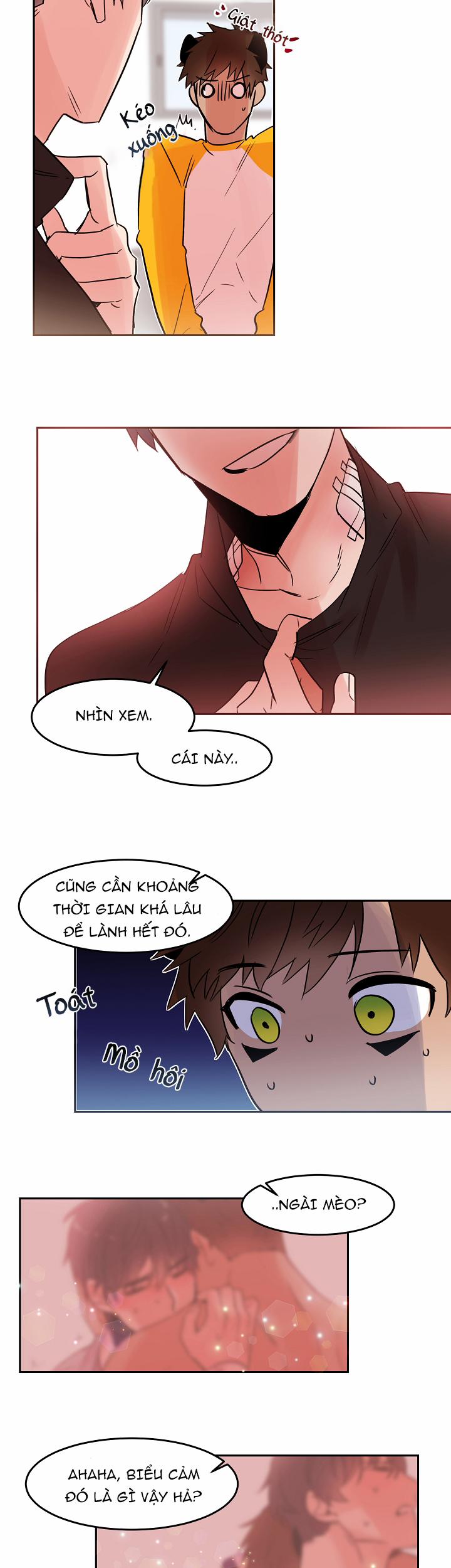 Chàng Mèo Trong Hộp Carton 19.1 trang 3