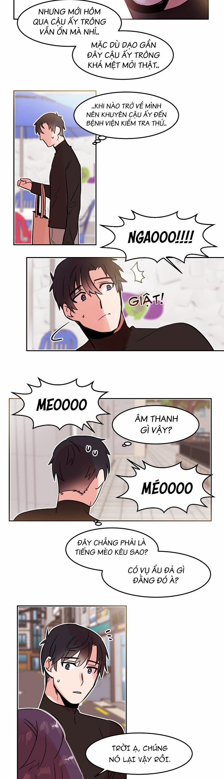 Chàng Mèo Trong Hộp Carton 19.1 trang 8