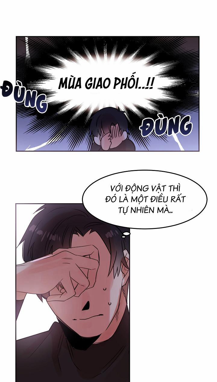Chàng Mèo Trong Hộp Carton 19.2 trang 0