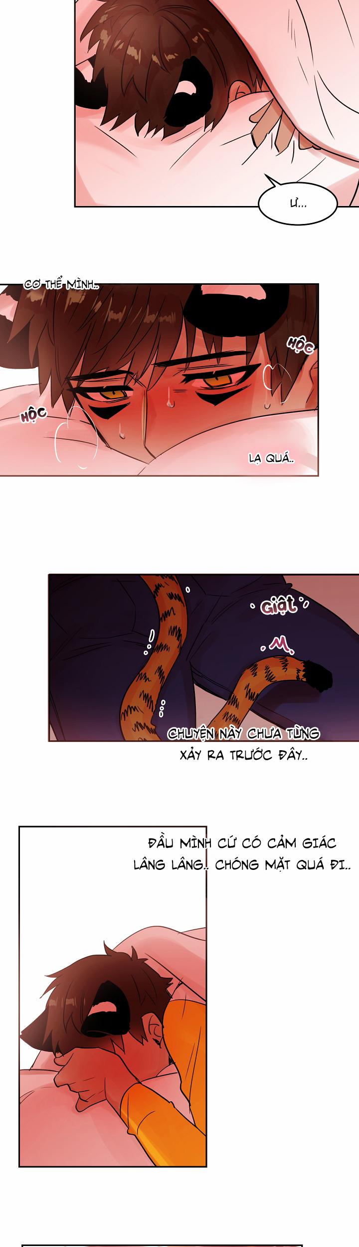 Chàng Mèo Trong Hộp Carton 19.2 trang 4