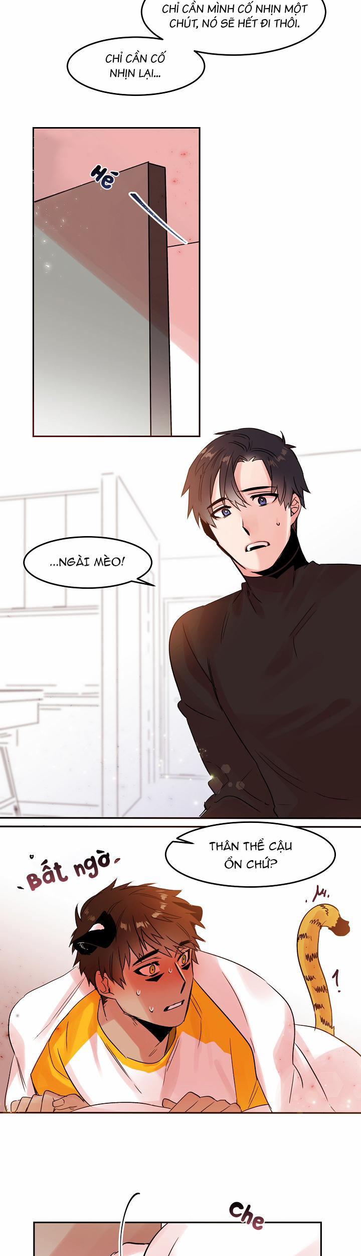 Chàng Mèo Trong Hộp Carton 19.2 trang 6