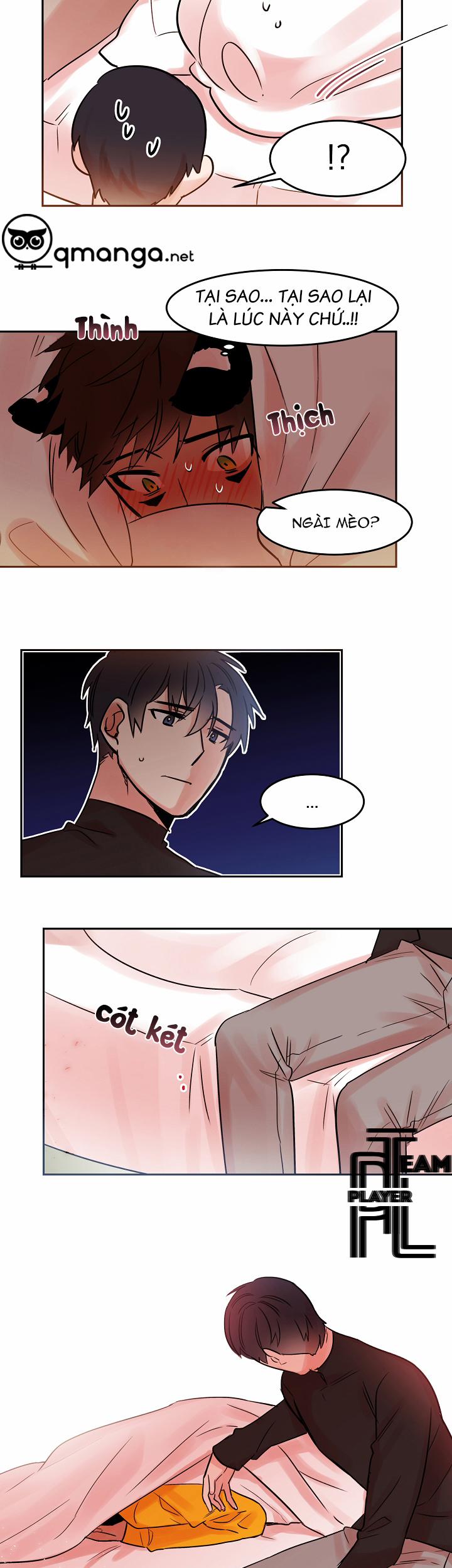 Chàng Mèo Trong Hộp Carton 19.2 trang 7