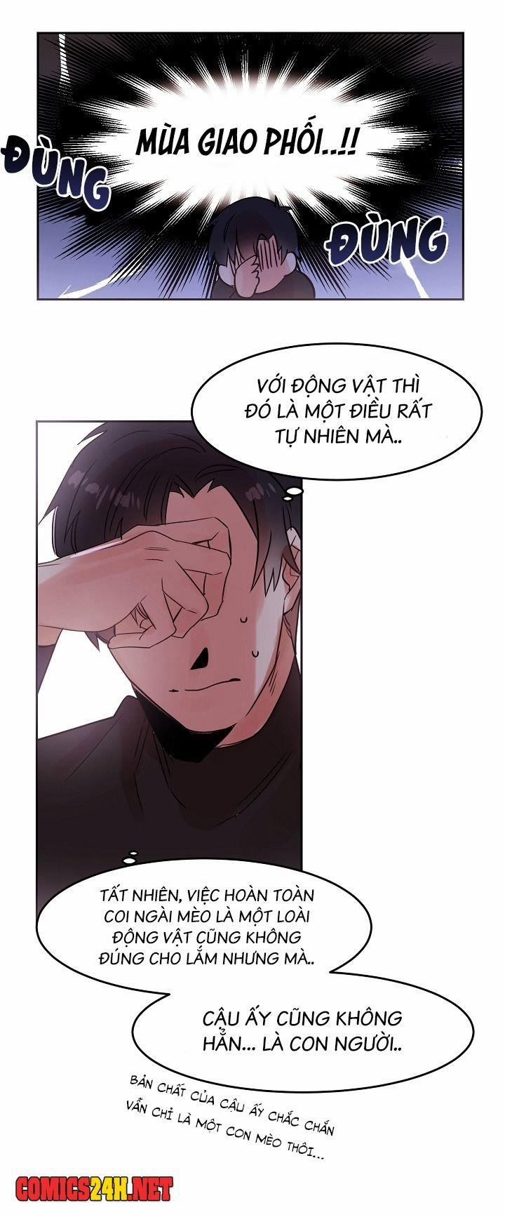 Chàng Mèo Trong Hộp Carton 19 trang 25