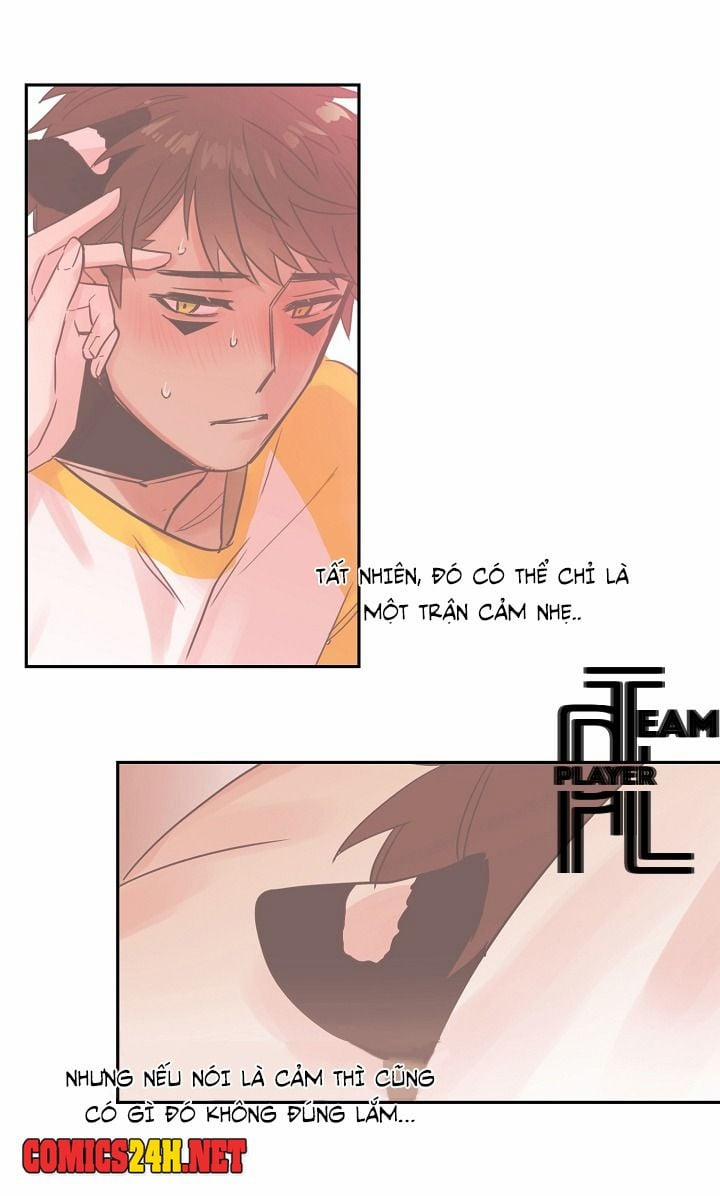 Chàng Mèo Trong Hộp Carton 19 trang 26