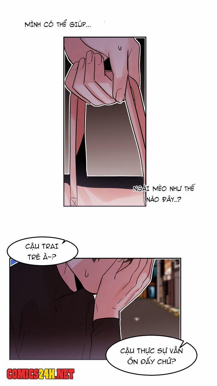 Chàng Mèo Trong Hộp Carton 19 trang 29
