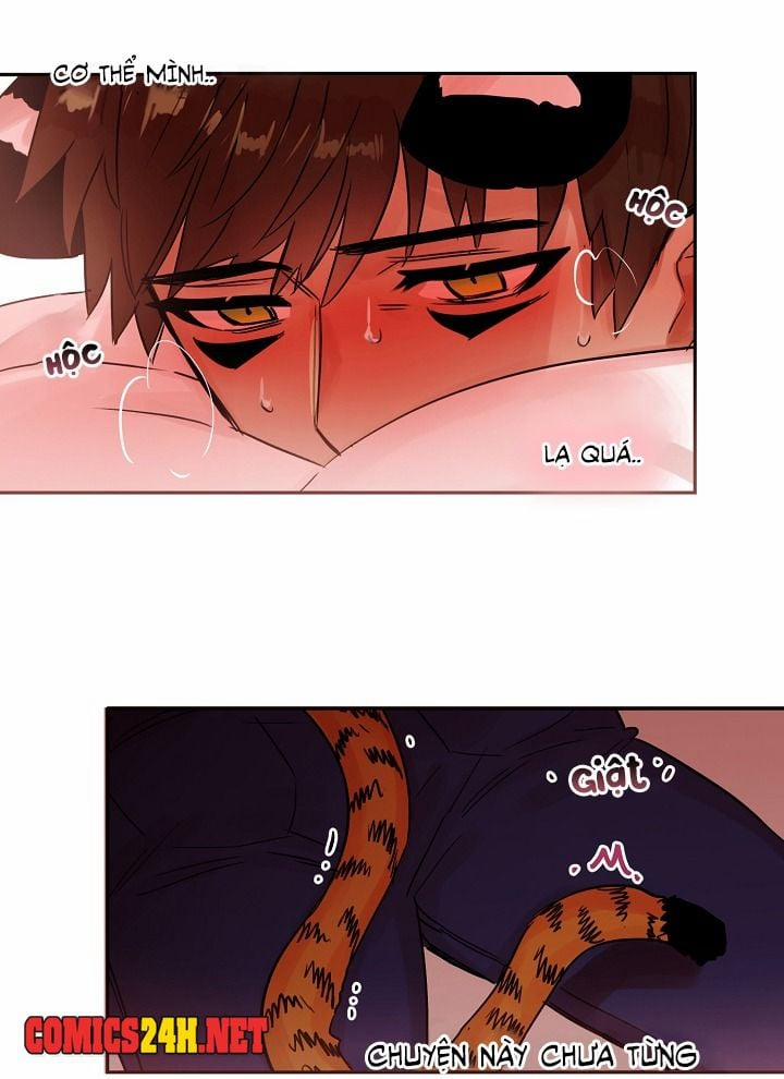 Chàng Mèo Trong Hộp Carton 19 trang 33