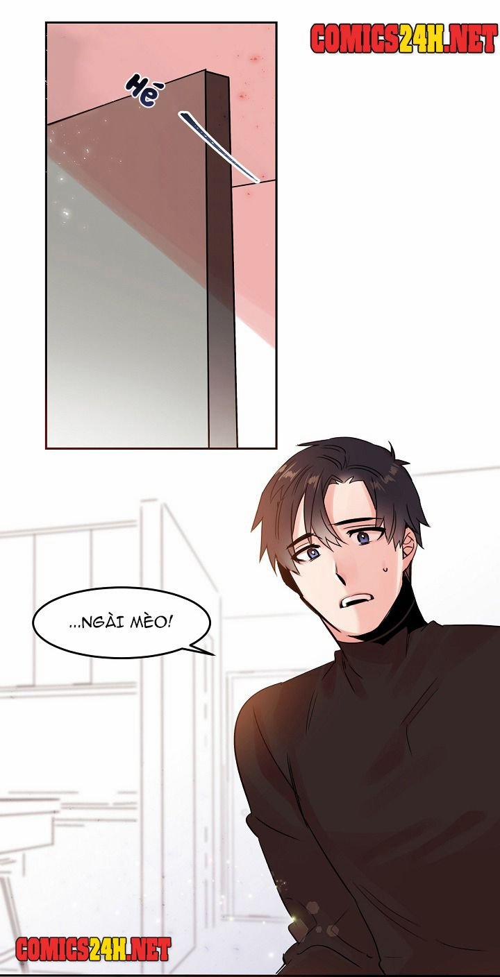 Chàng Mèo Trong Hộp Carton 19 trang 38