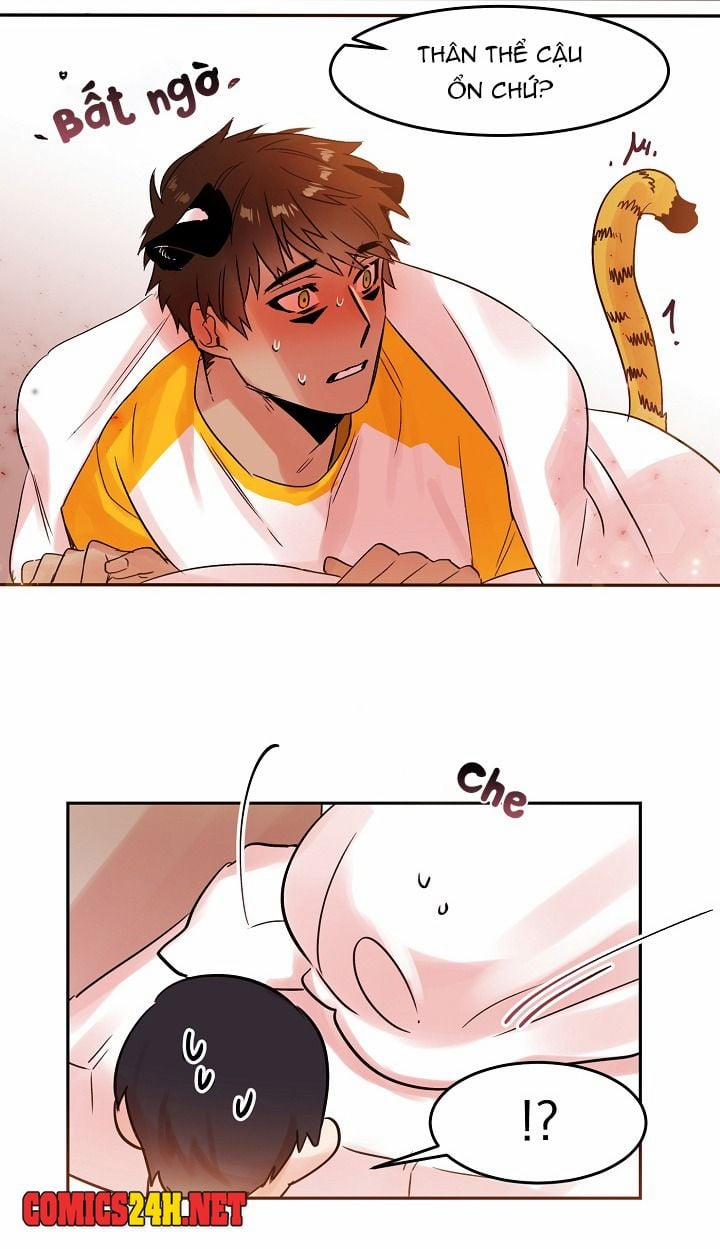 Chàng Mèo Trong Hộp Carton 19 trang 39