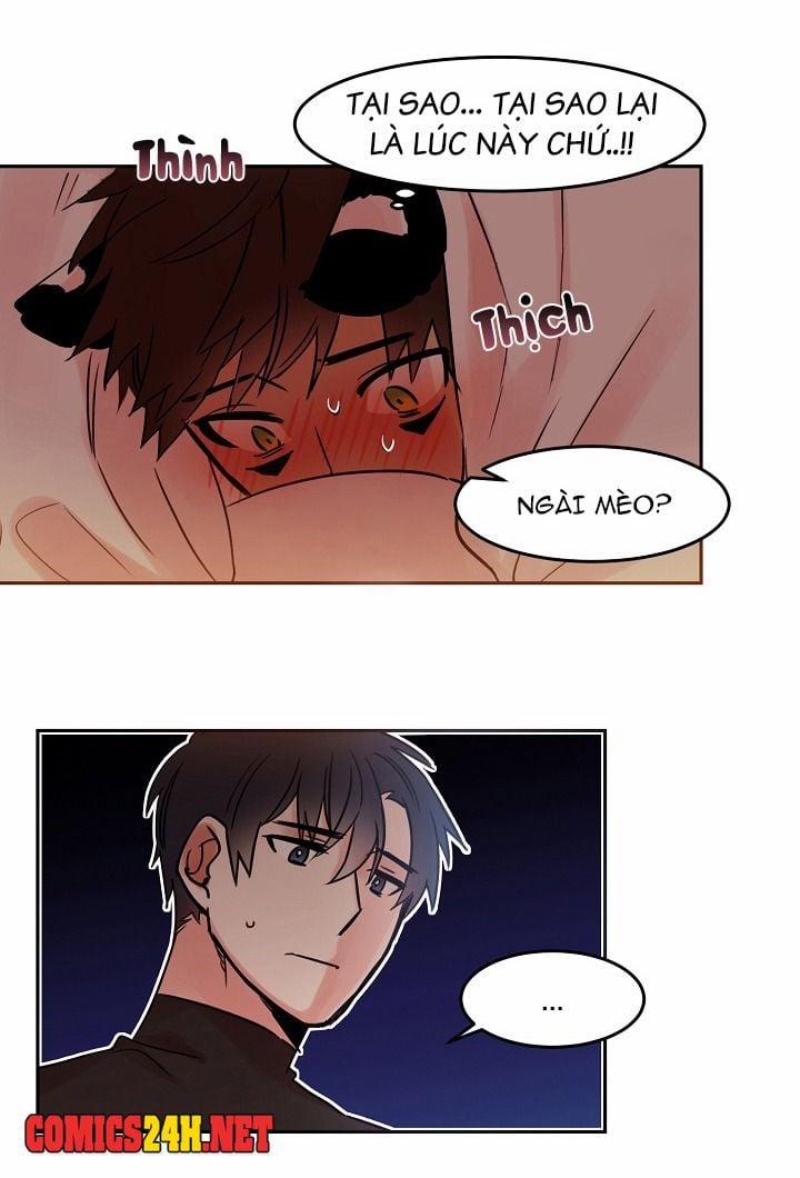 Chàng Mèo Trong Hộp Carton 19 trang 40