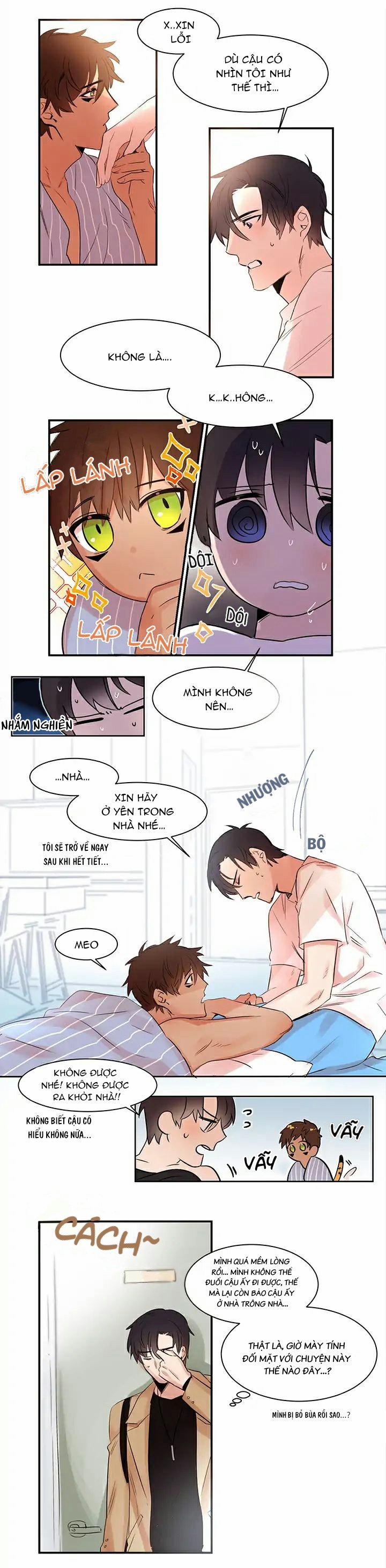 Chàng Mèo Trong Hộp Carton 2 trang 5