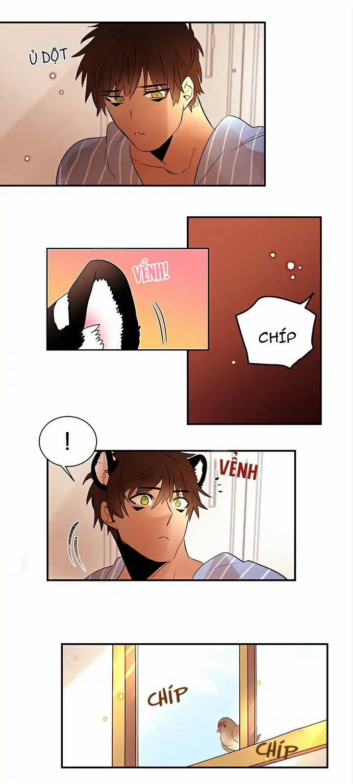 Chàng Mèo Trong Hộp Carton 2 trang 8