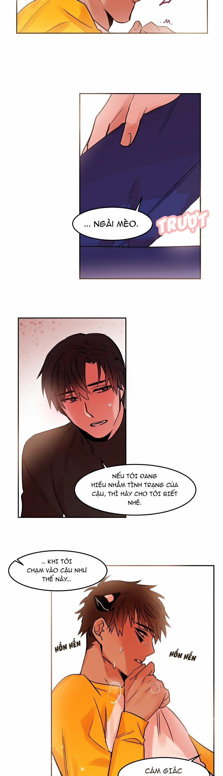 Chàng Mèo Trong Hộp Carton 20.1 trang 3