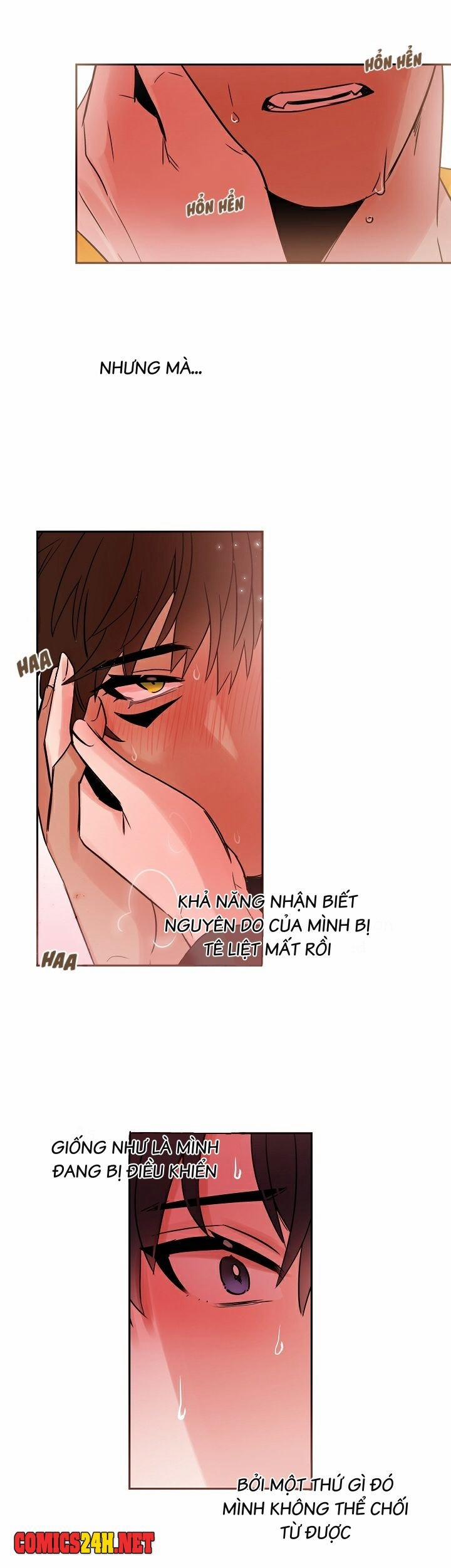 Chàng Mèo Trong Hộp Carton 20 trang 10