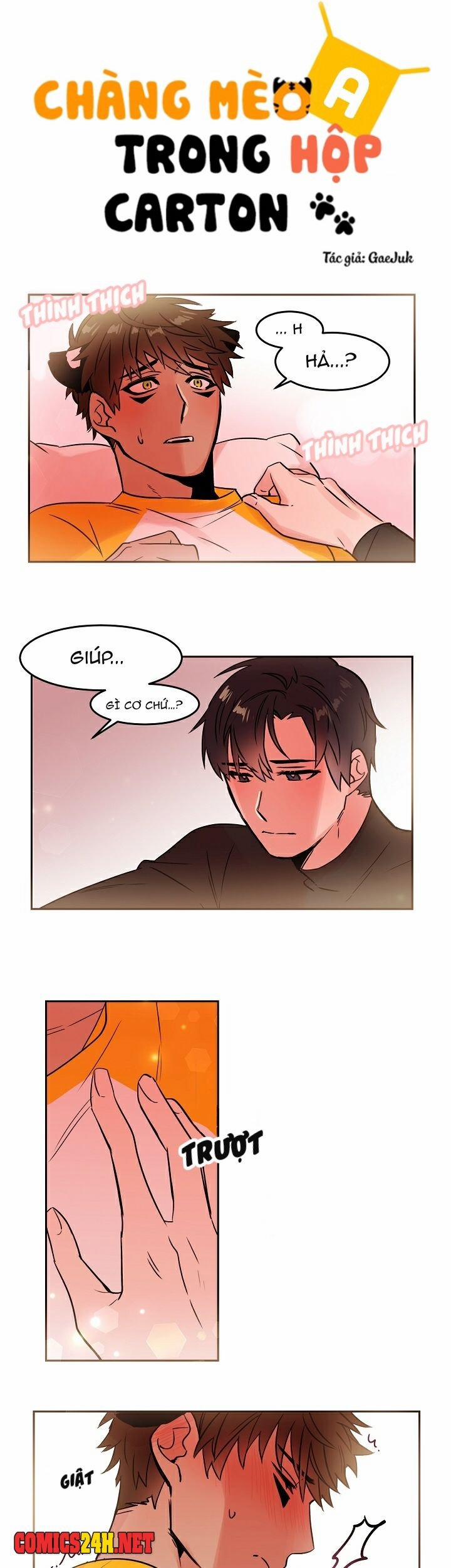 Chàng Mèo Trong Hộp Carton 20 trang 3