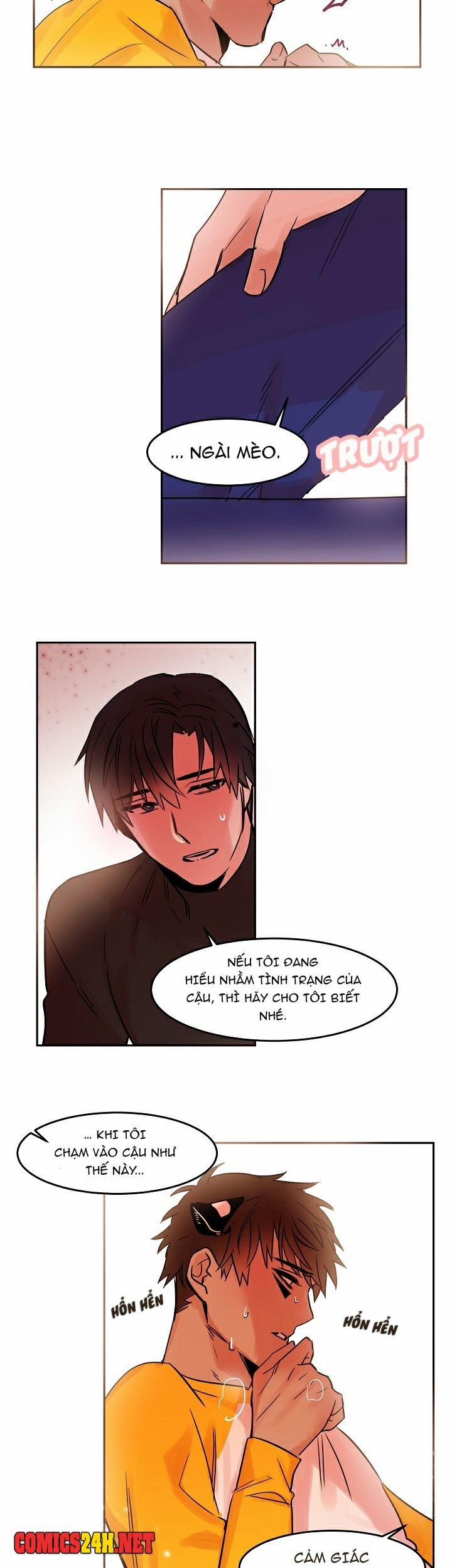 Chàng Mèo Trong Hộp Carton 20 trang 4