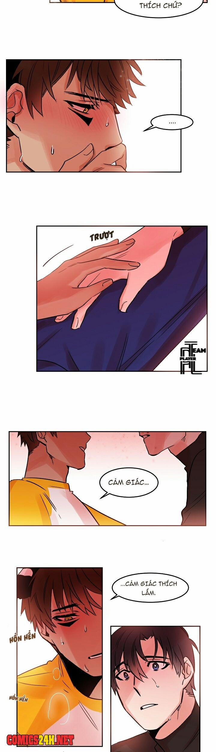 Chàng Mèo Trong Hộp Carton 20 trang 5