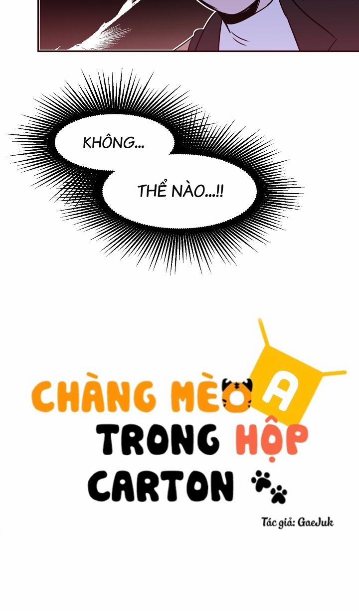 Chàng Mèo Trong Hộp Carton 21.2 trang 10