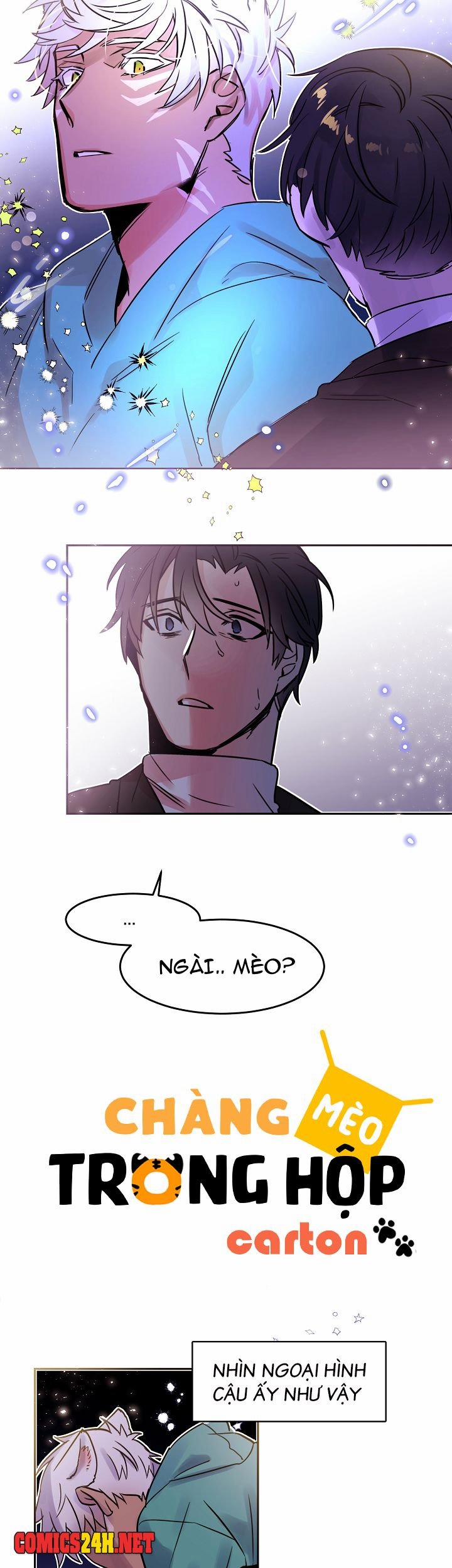 Chàng Mèo Trong Hộp Carton 24 trang 2