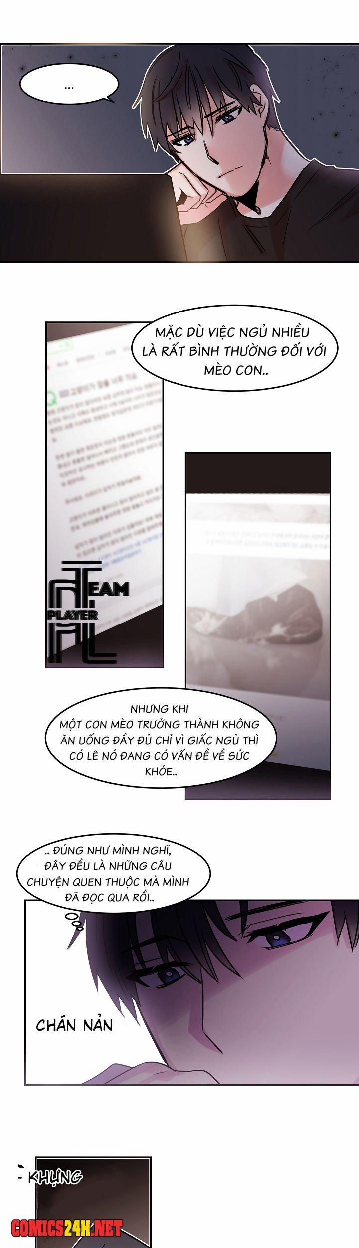 Chàng Mèo Trong Hộp Carton 25 trang 13