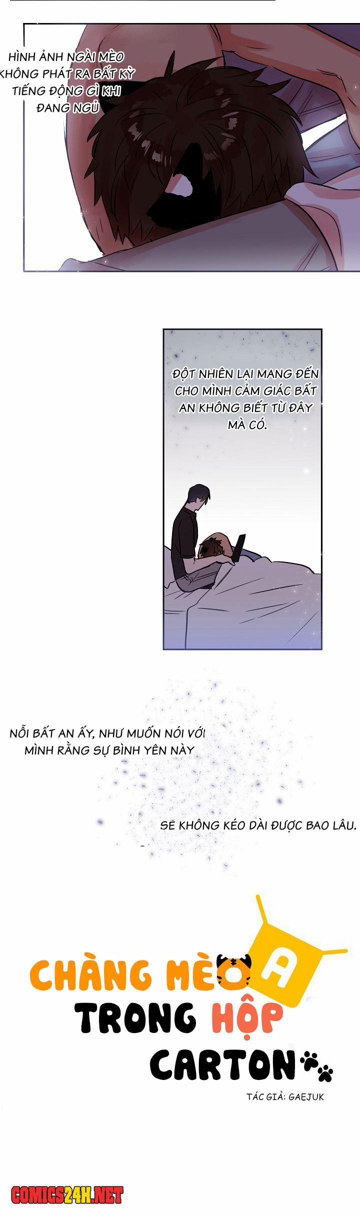 Chàng Mèo Trong Hộp Carton 25 trang 18