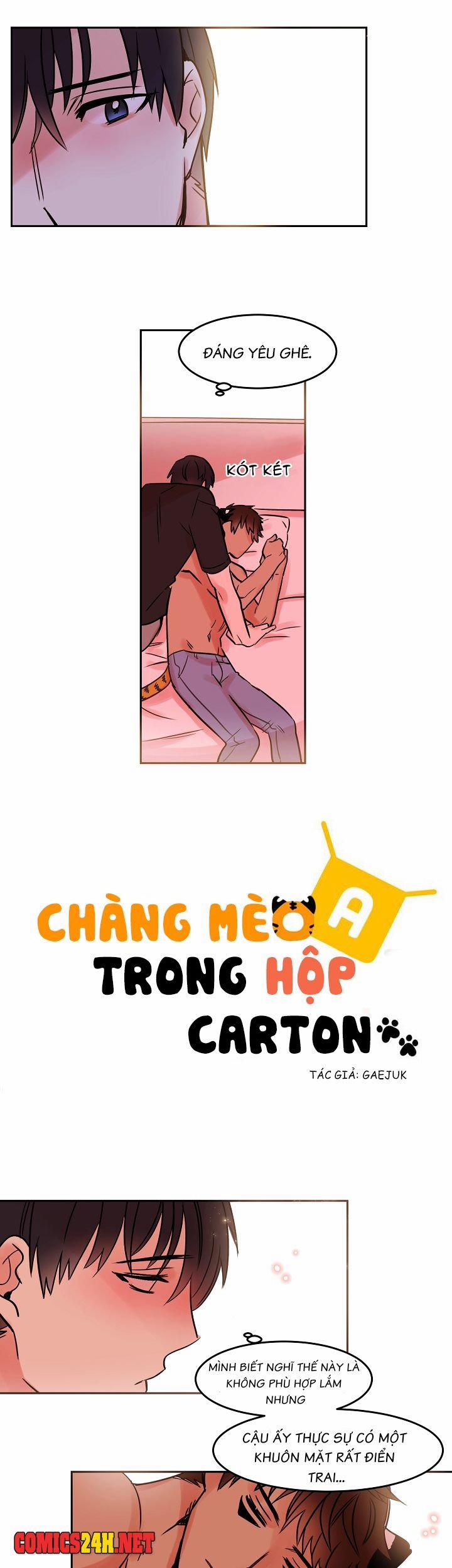 Chàng Mèo Trong Hộp Carton 25 trang 3