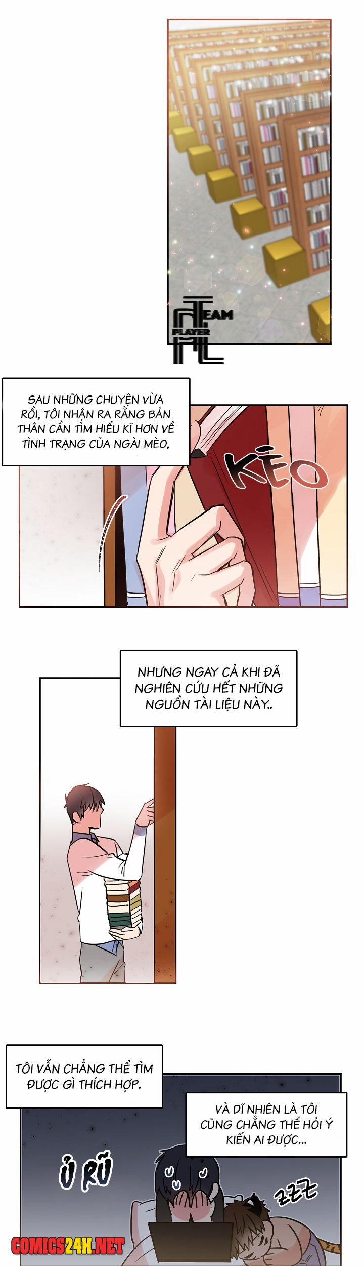 Chàng Mèo Trong Hộp Carton 26 trang 1