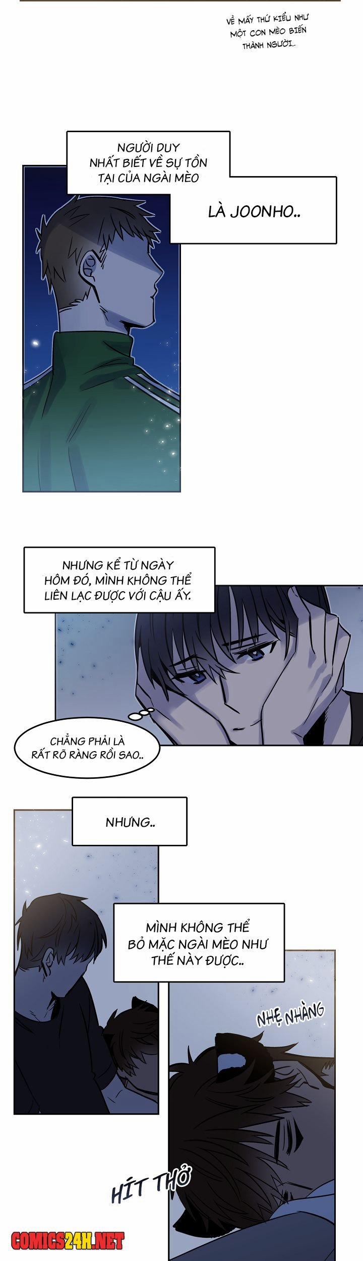 Chàng Mèo Trong Hộp Carton 26 trang 2