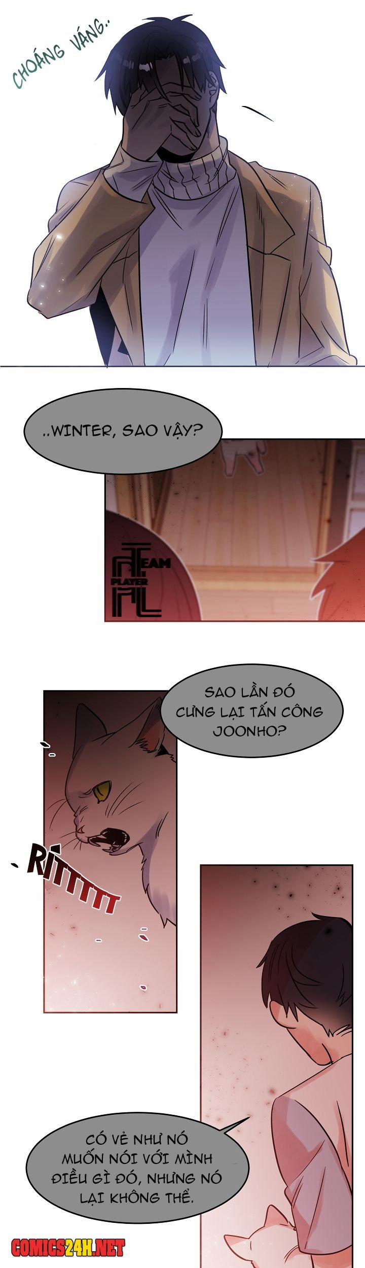 Chàng Mèo Trong Hộp Carton 27 trang 11