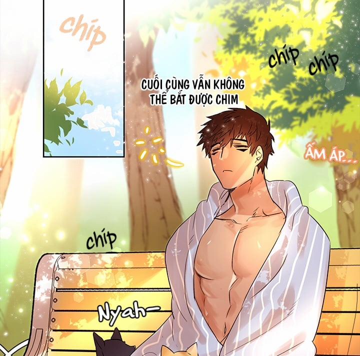 Chàng Mèo Trong Hộp Carton 3 trang 10