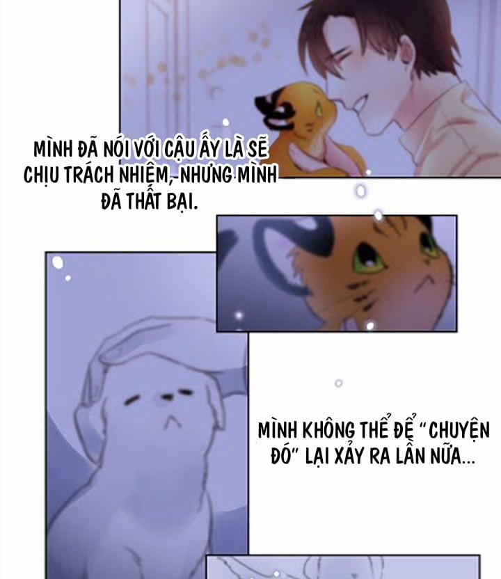 Chàng Mèo Trong Hộp Carton 3 trang 20