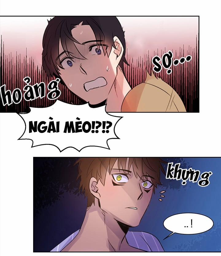 Chàng Mèo Trong Hộp Carton 3 trang 36