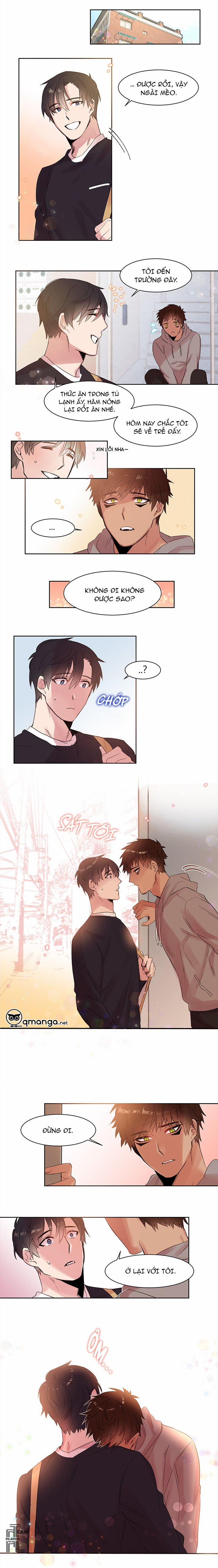 Chàng Mèo Trong Hộp Carton 5 trang 2