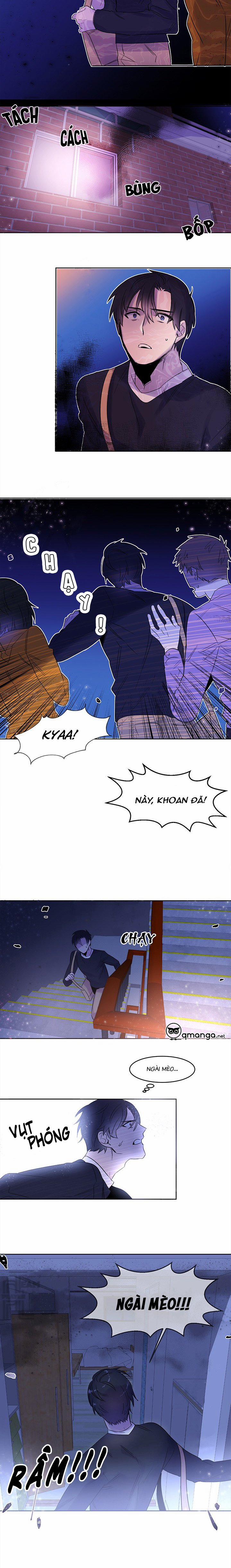 Chàng Mèo Trong Hộp Carton 6 trang 2