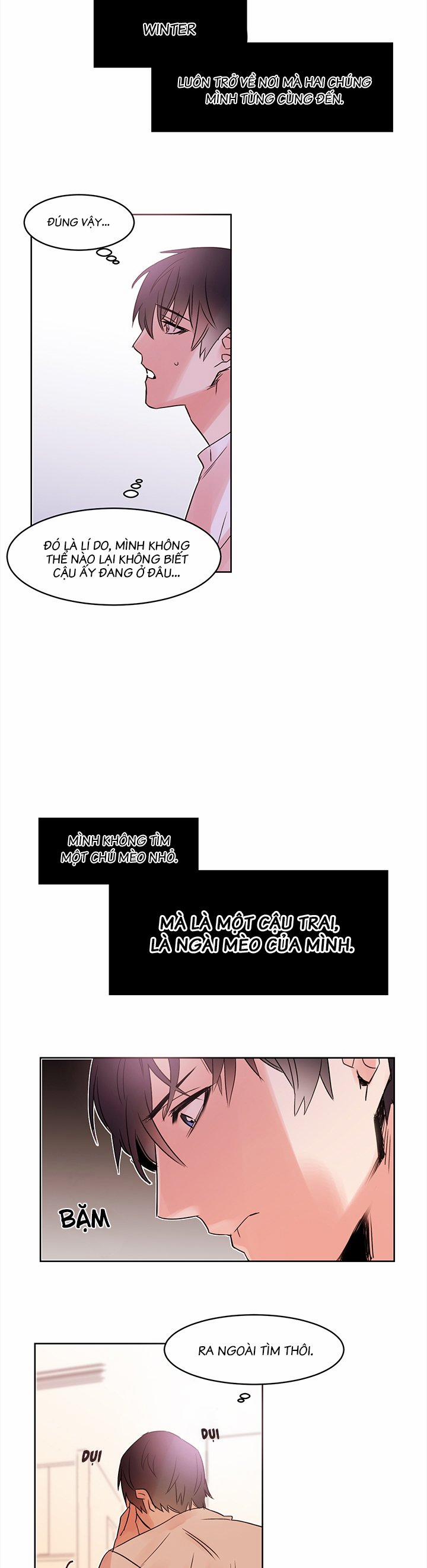 Chàng Mèo Trong Hộp Carton 7 trang 10