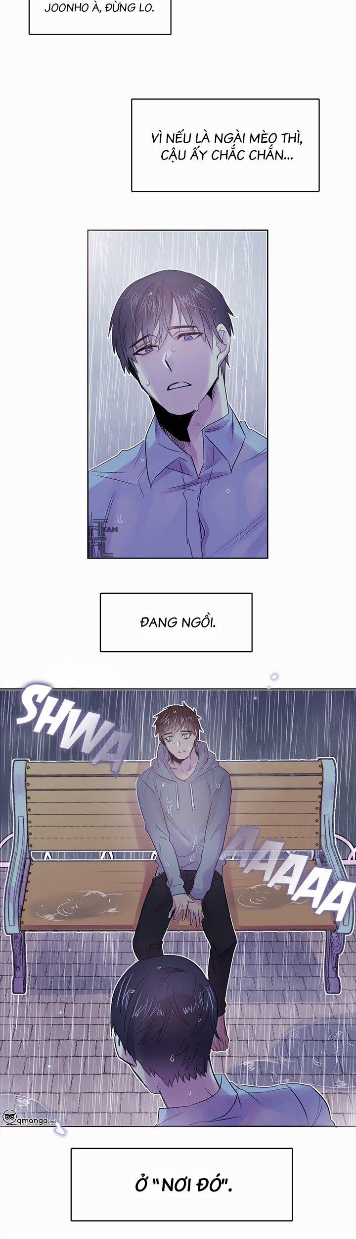 Chàng Mèo Trong Hộp Carton 7 trang 17