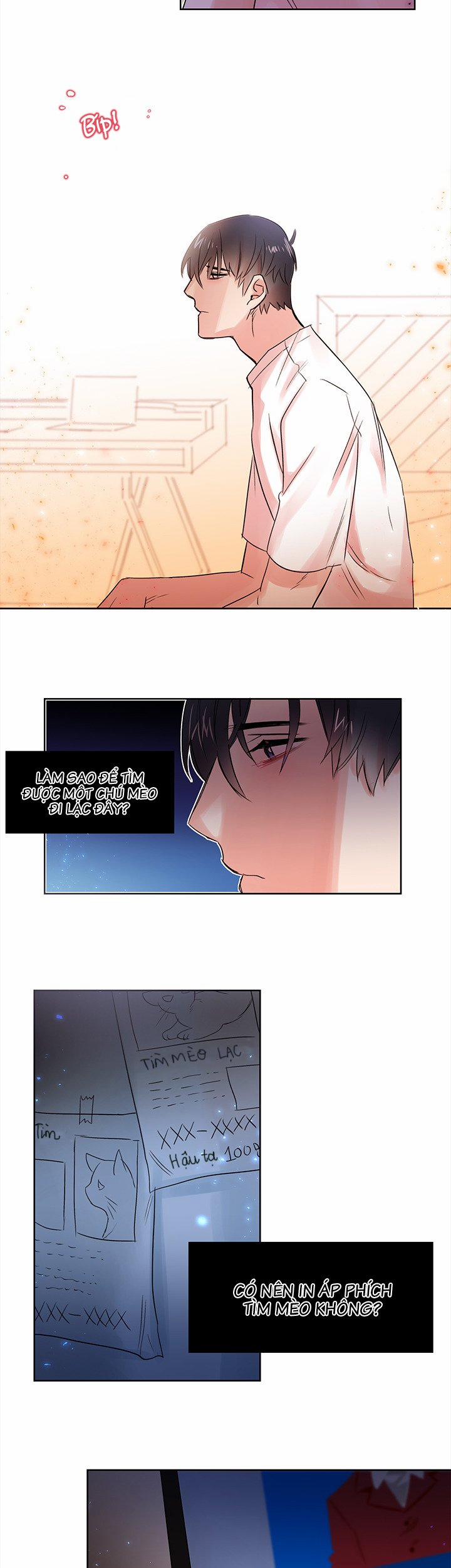 Chàng Mèo Trong Hộp Carton 7 trang 6