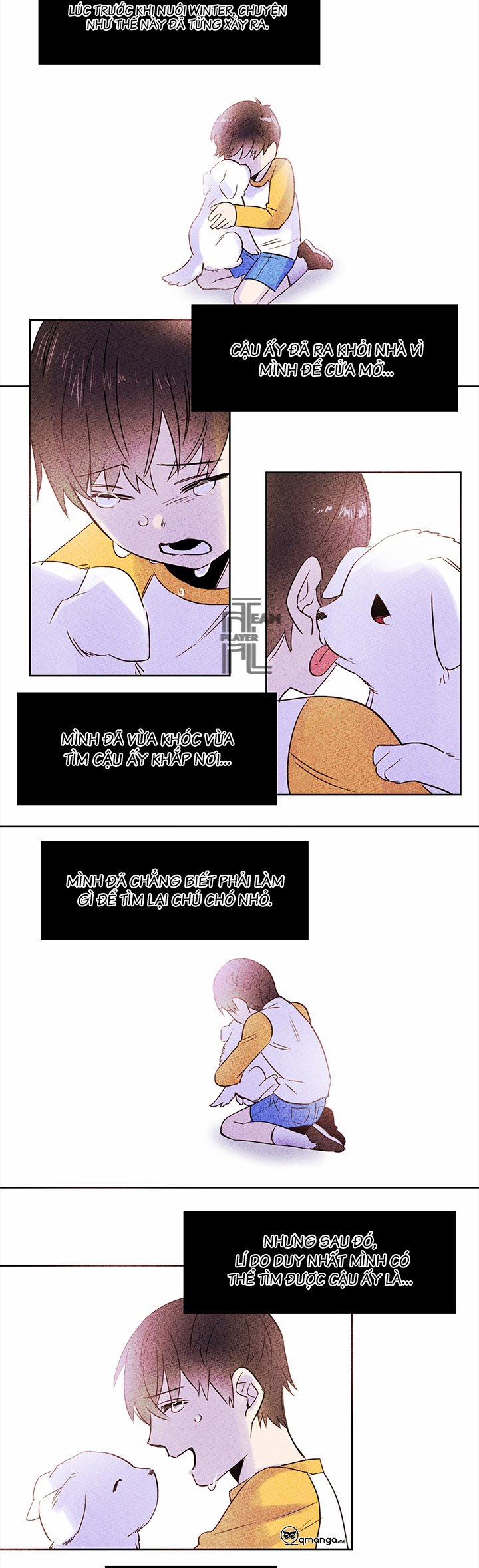 Chàng Mèo Trong Hộp Carton 7 trang 9