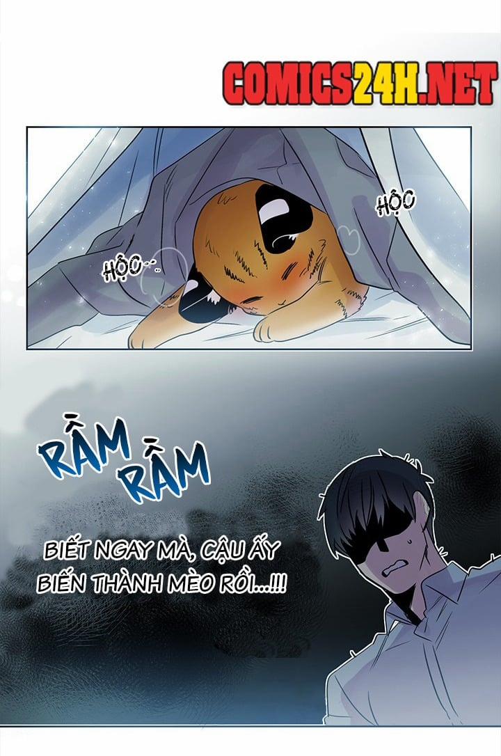 Chàng Mèo Trong Hộp Carton 8 trang 14