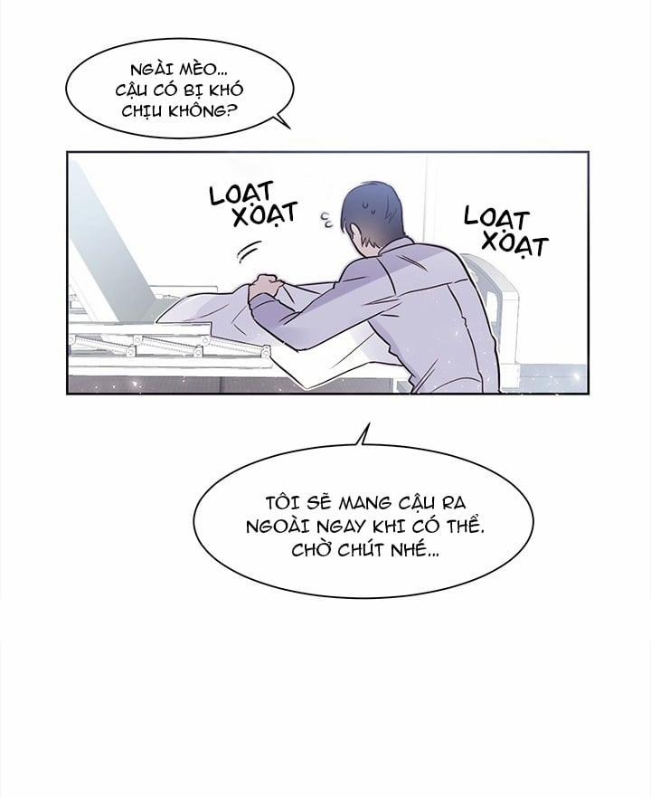 Chàng Mèo Trong Hộp Carton 8 trang 27