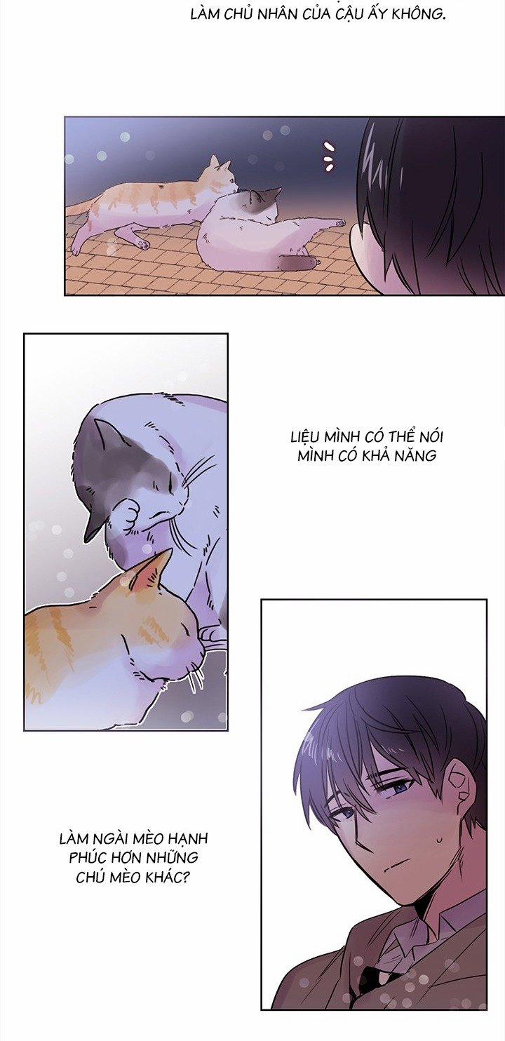 Chàng Mèo Trong Hộp Carton 8 trang 33