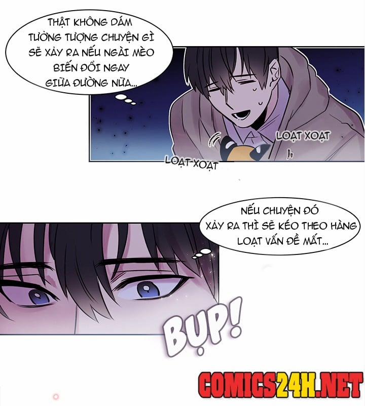 Chàng Mèo Trong Hộp Carton 9 trang 0
