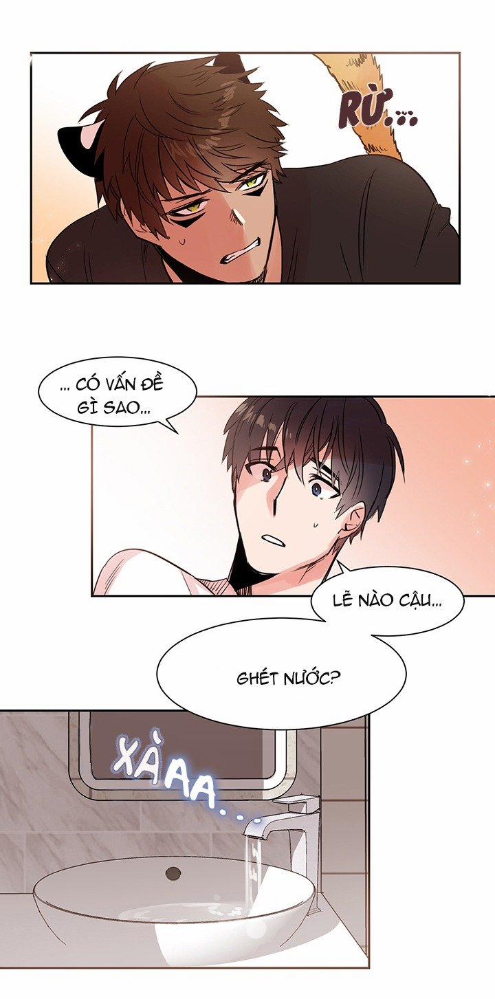 Chàng Mèo Trong Hộp Carton 9 trang 16